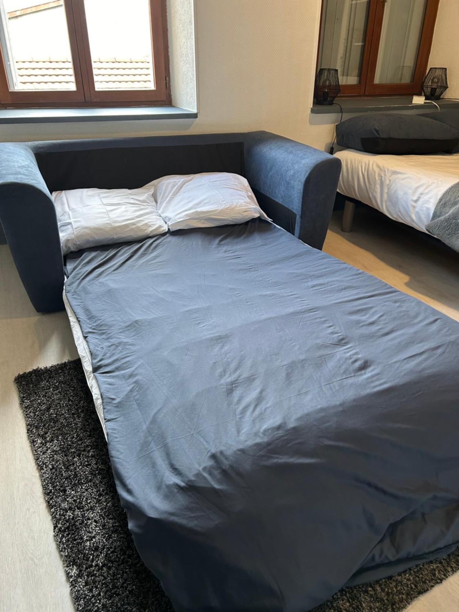 Studio De 30M² Hypercentre Tres Calme Montbéliard Eksteriør bilde